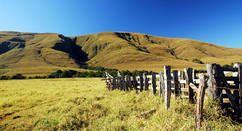 Campos de altitude - Serra da Canastra